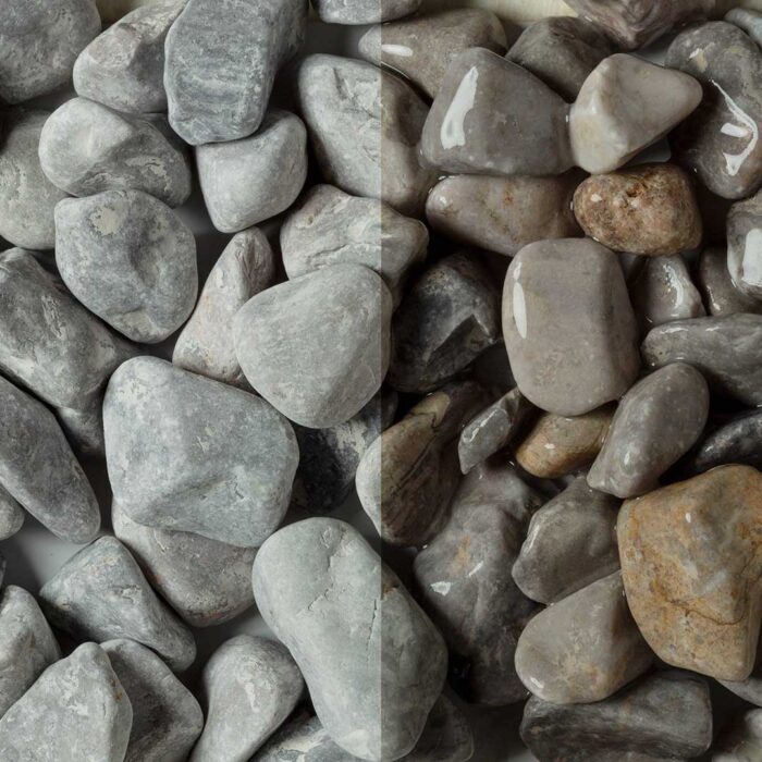 Ciottolo Grigio occhialino
