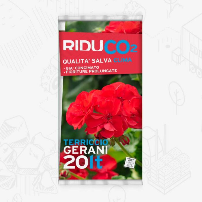 Gerani
