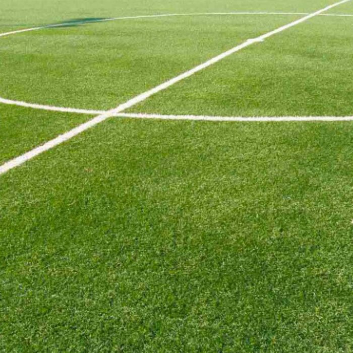 Sabbia Sport FG7