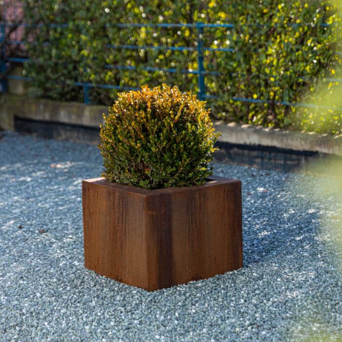 Vaso rivestito in acciaio corten
